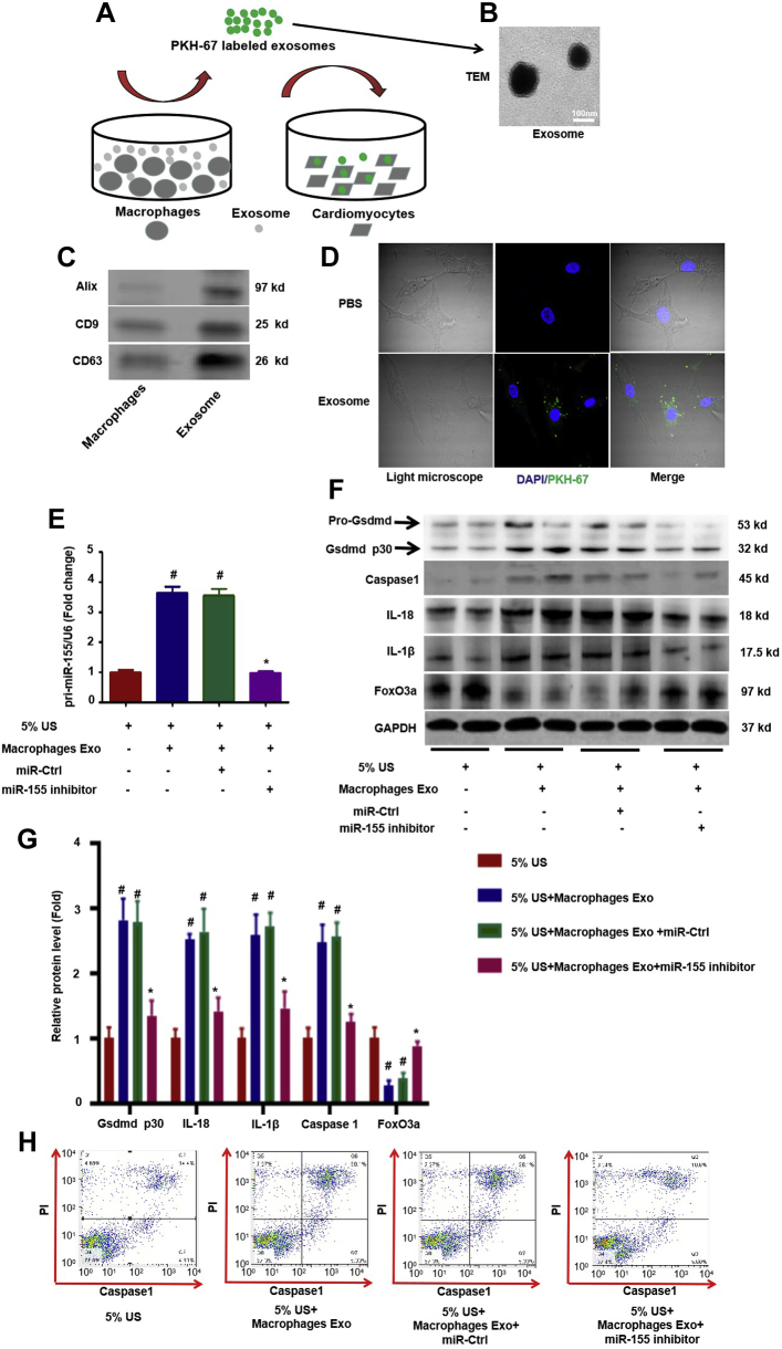 Figure 6