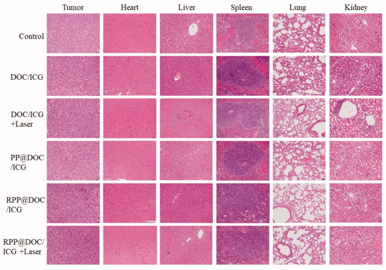 Figure 6.