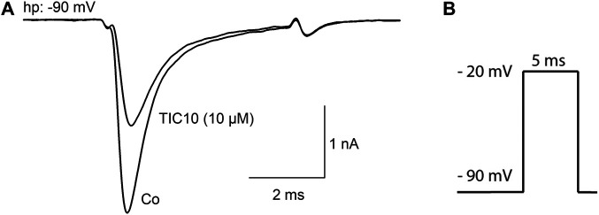 FIGURE 2