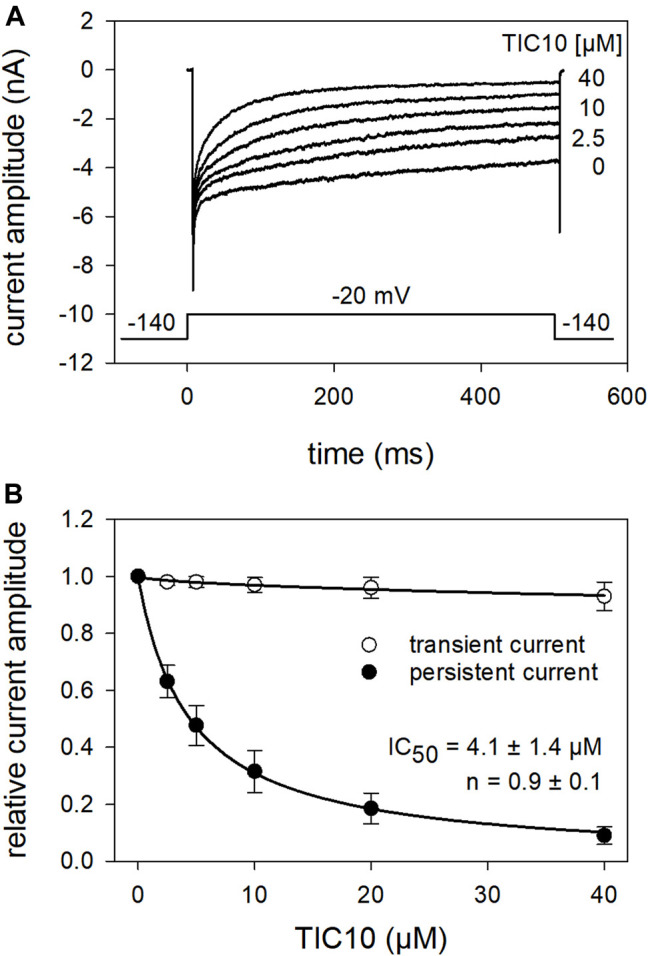 FIGURE 12