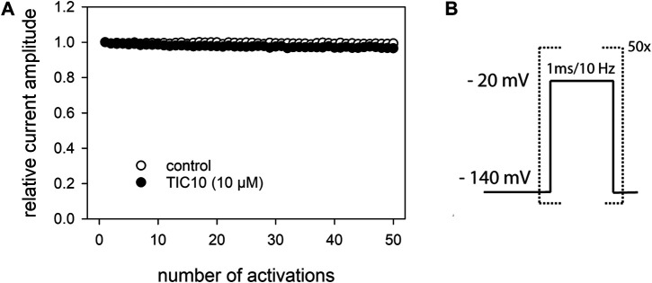 FIGURE 11