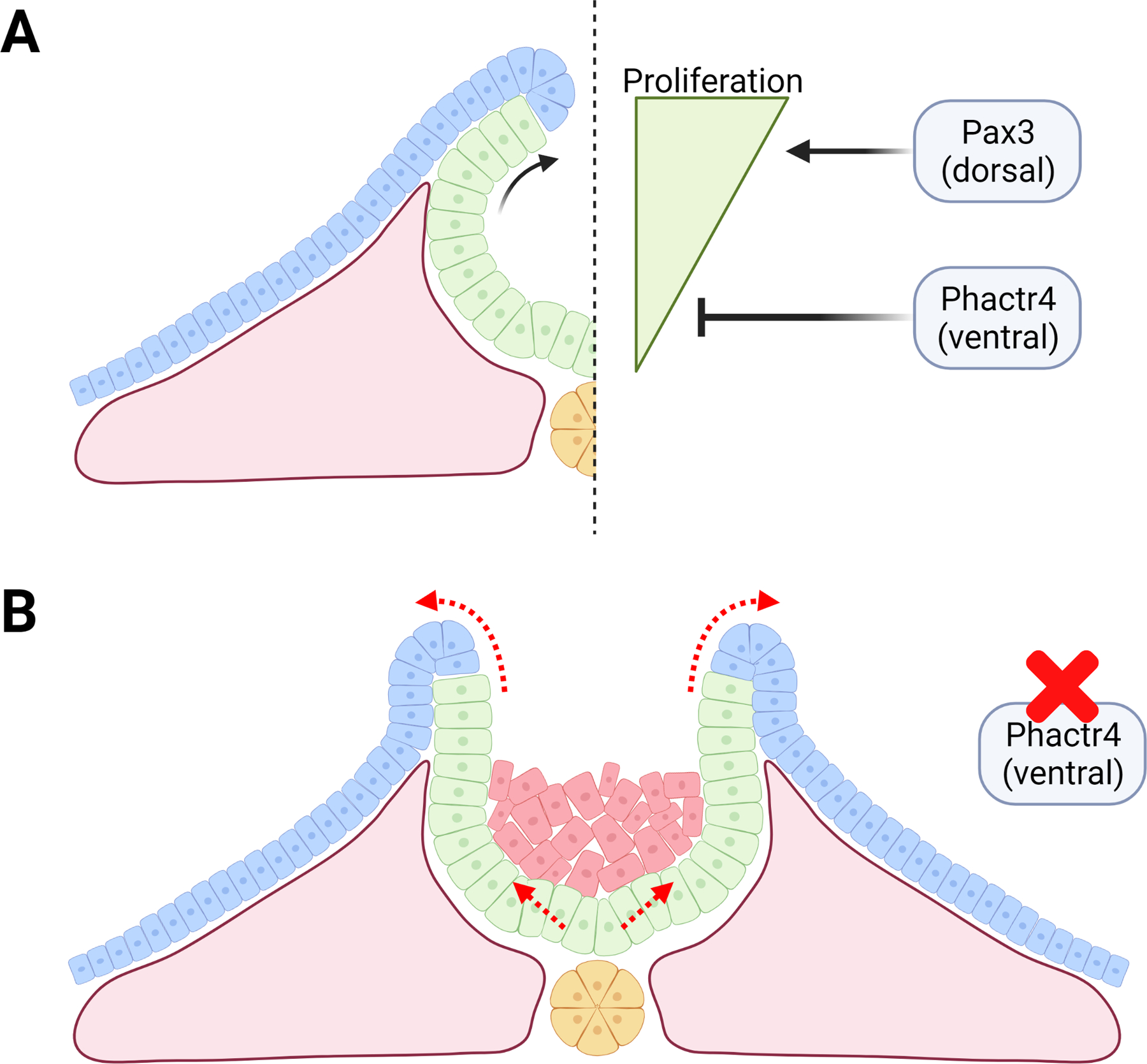 Figure 3: