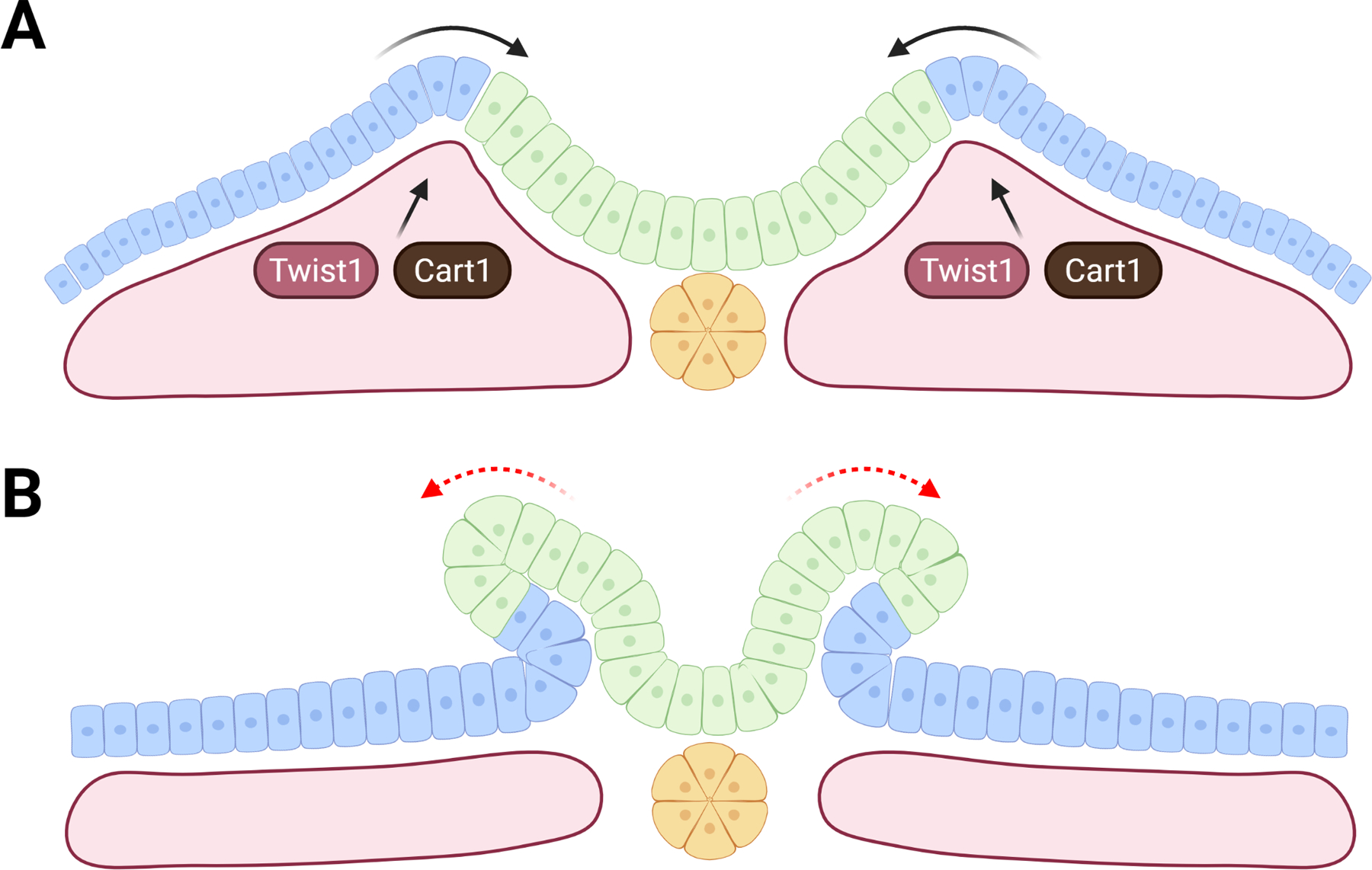 Figure 4: