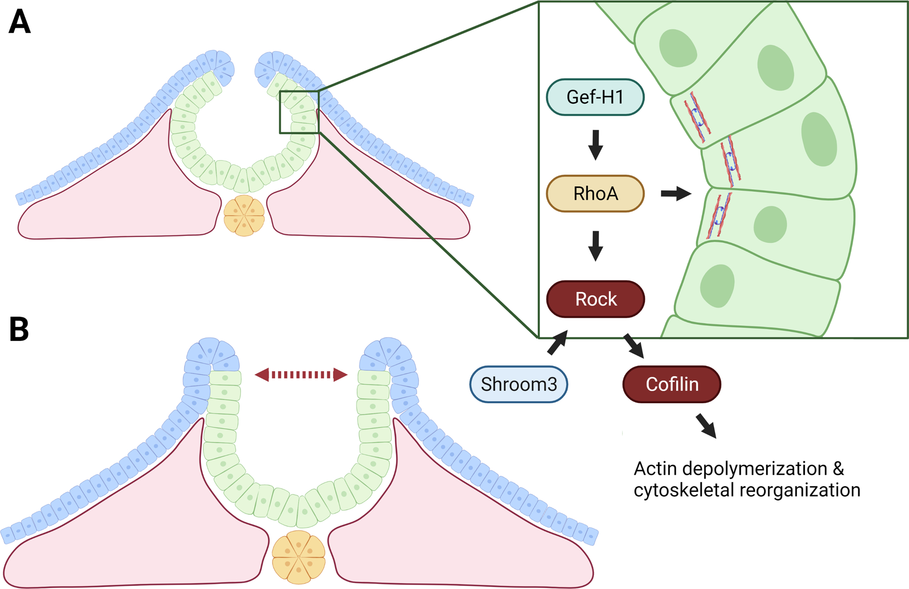 Figure 6: