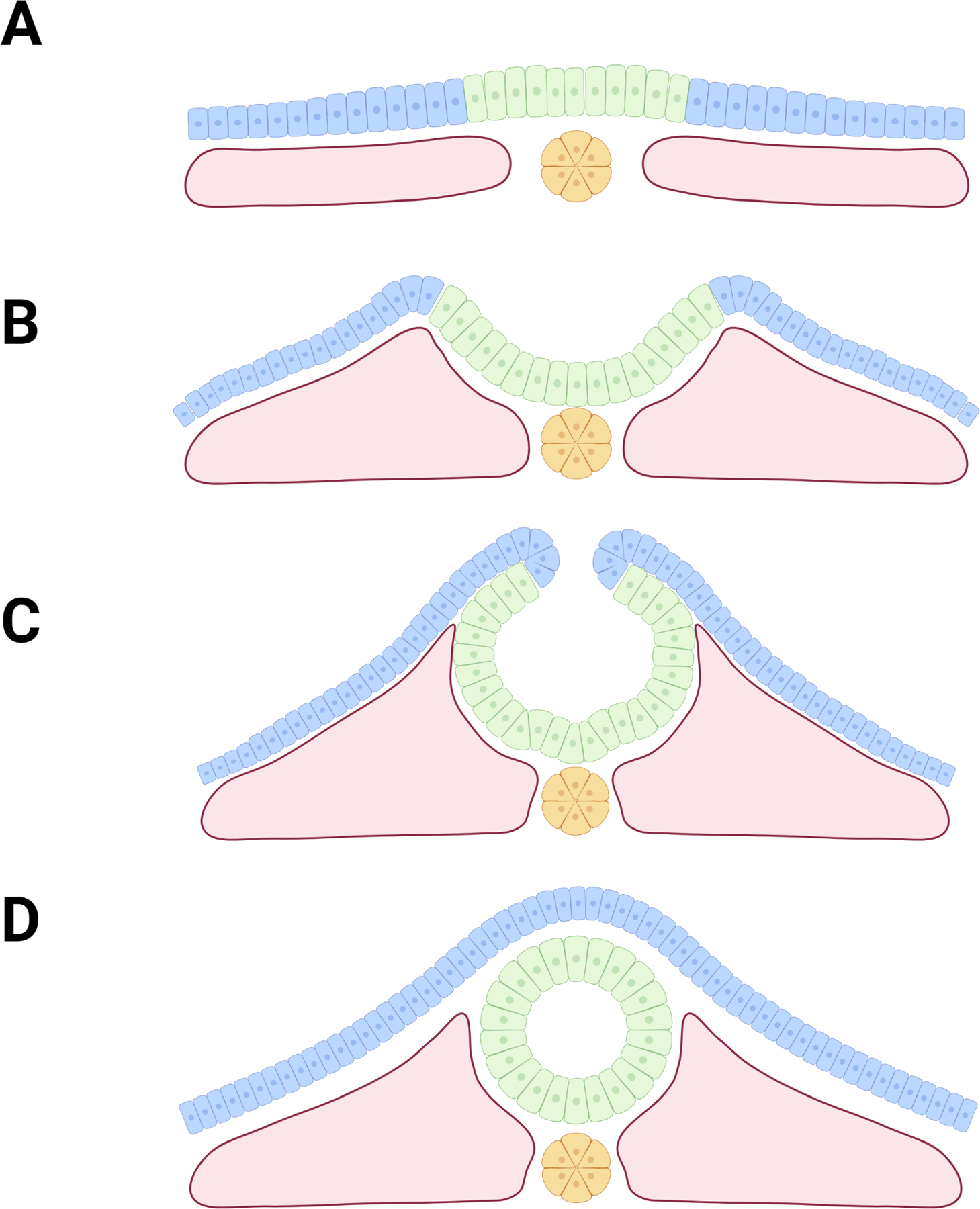 Figure 2: