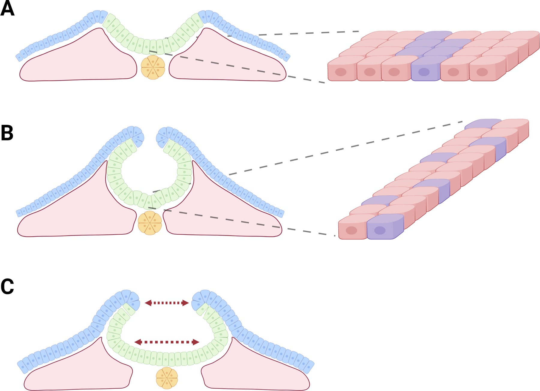 Figure 5: