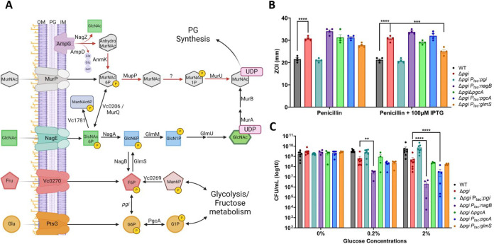 Figure 3: