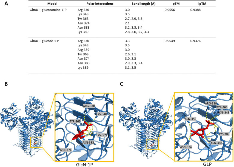 Figure 6: