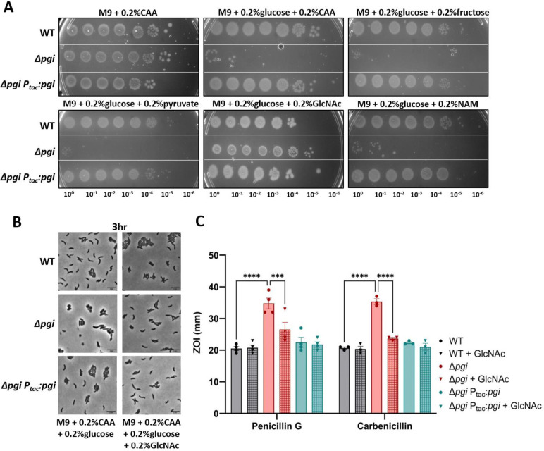 Figure 2: