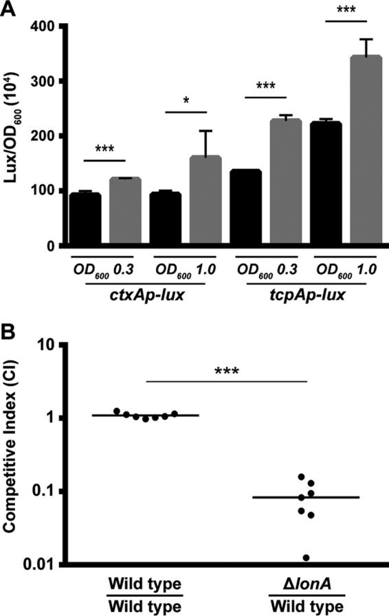 FIG 6