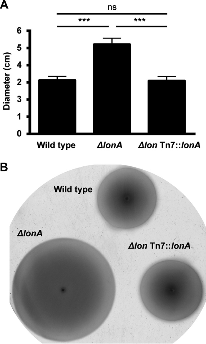 FIG 2