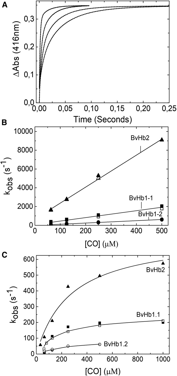 Figure 3.