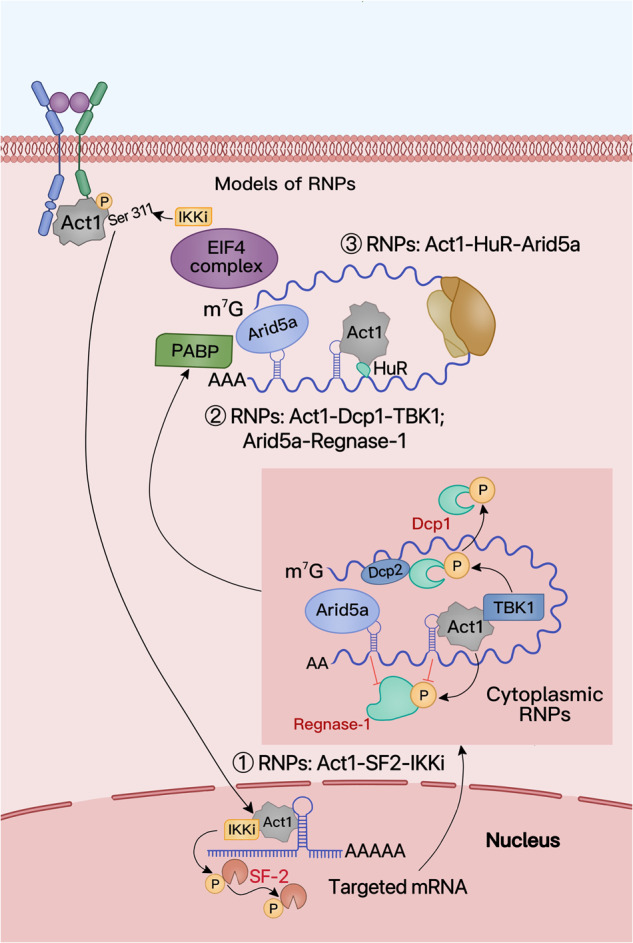 Fig. 4