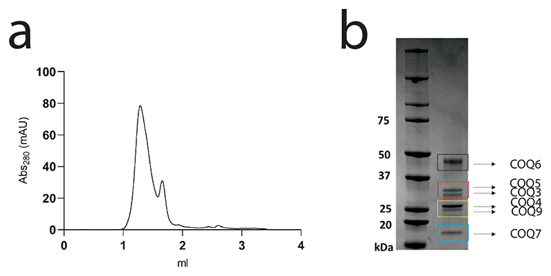 Extended Data Fig. 7 |