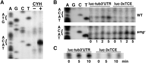 FIGURE 3.