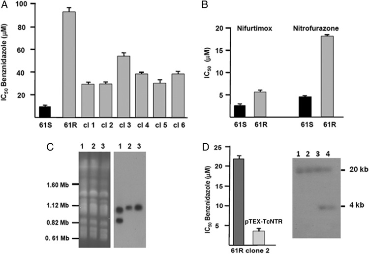 Figure 1.