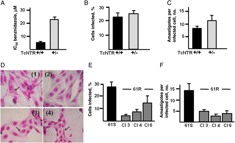 Figure 4.