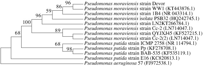 Fig. 2