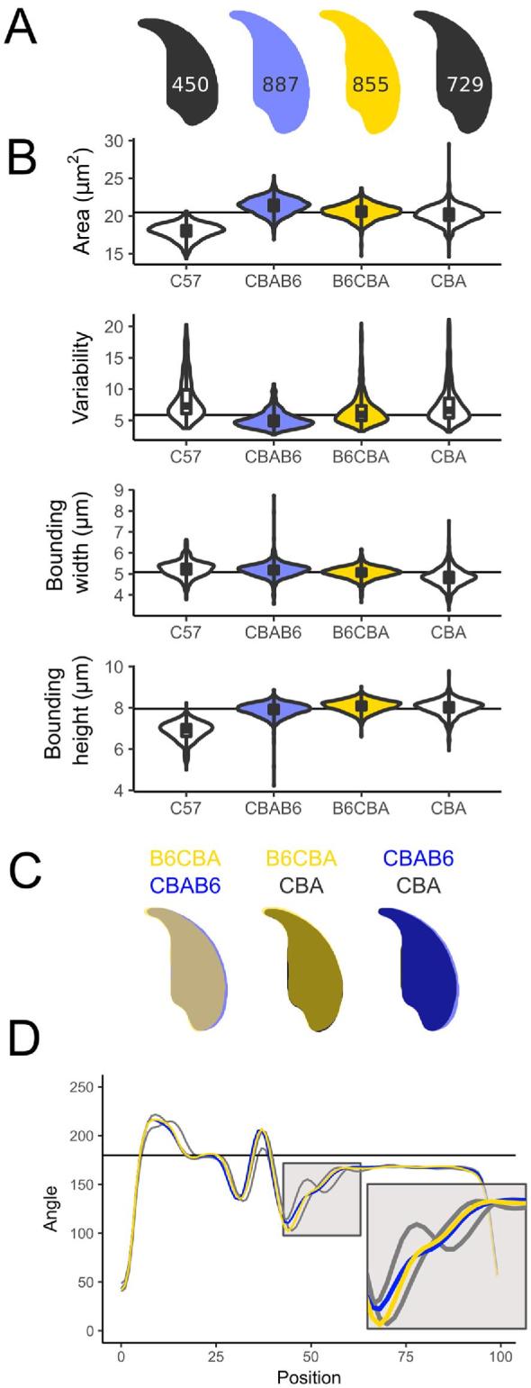 Figure 4.