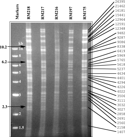 FIG. 7.