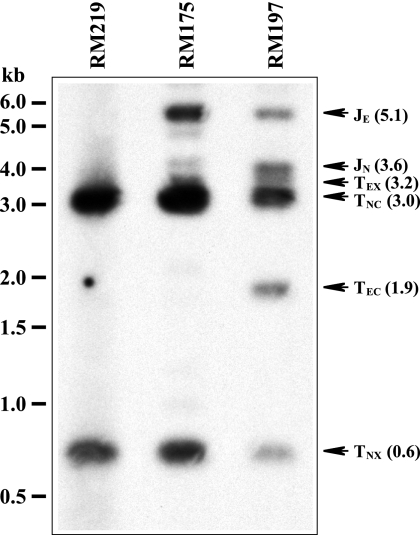 FIG. 6.