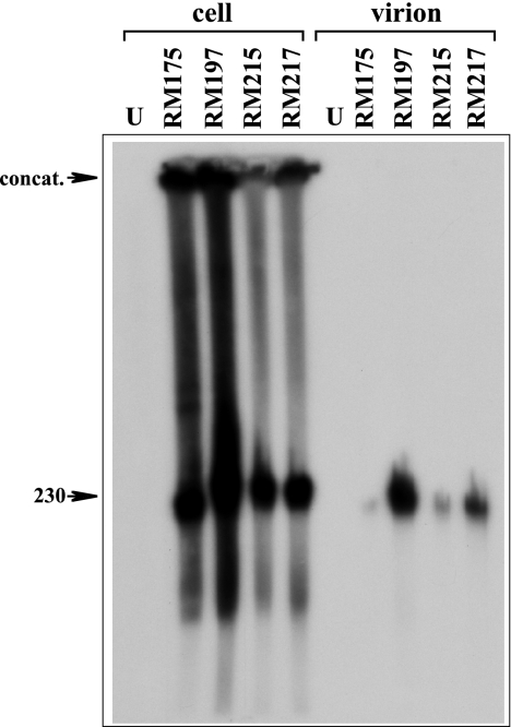 FIG. 8.