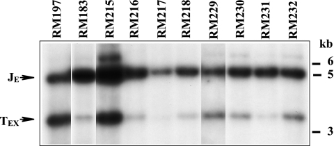 FIG. 5.