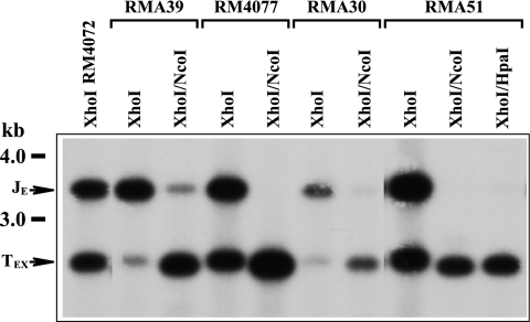 FIG. 3.