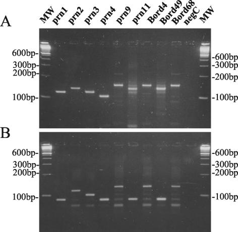 FIG. 5.