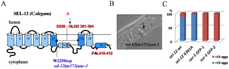 Figure 11