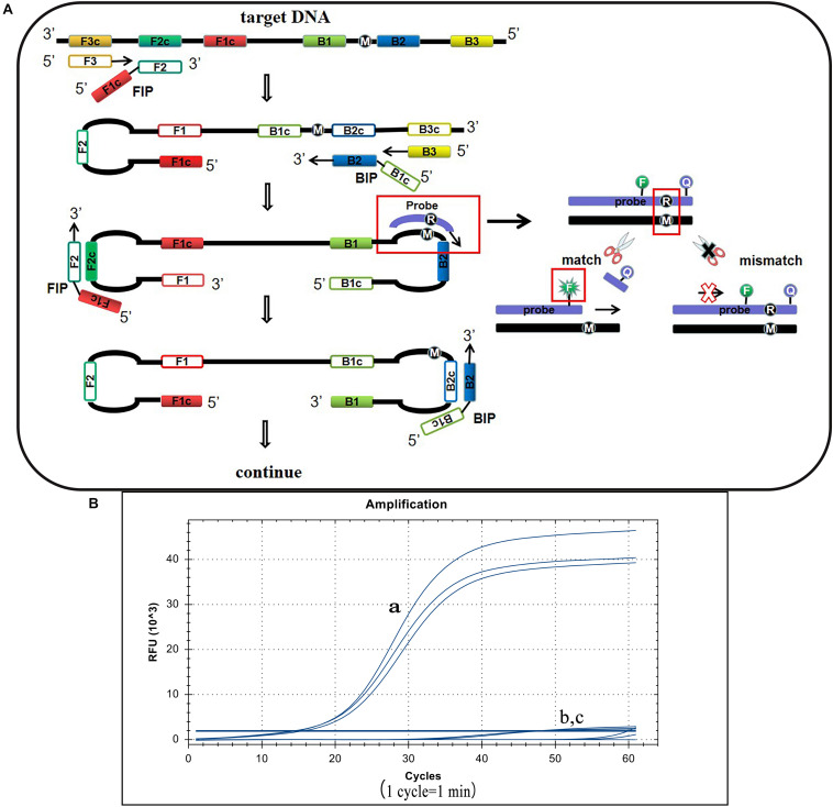 FIGURE 2