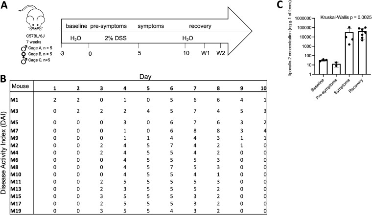 FIG 1