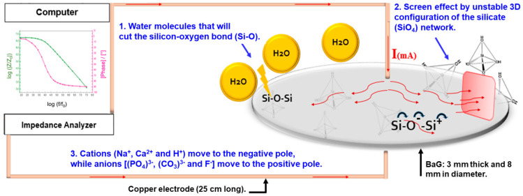 Figure 8