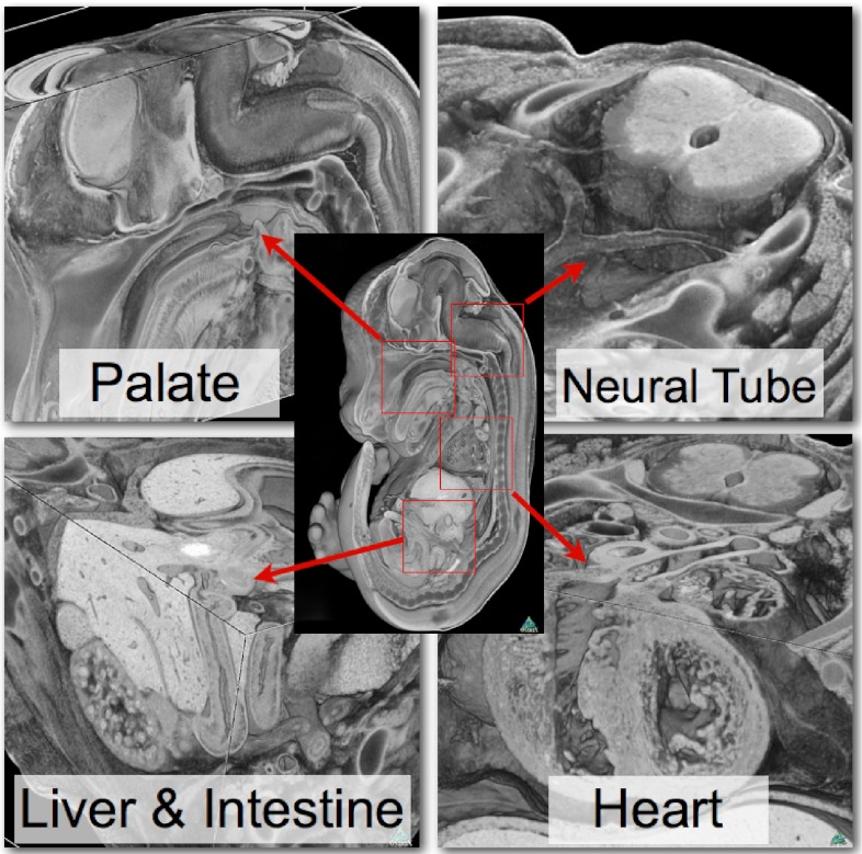 Fig. 3.