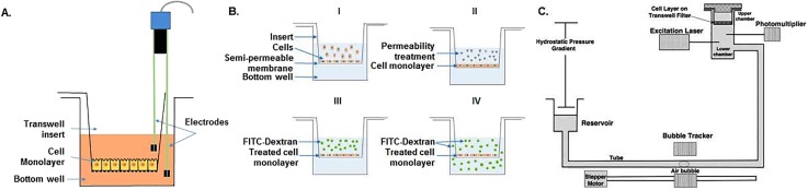 FIG. 1.