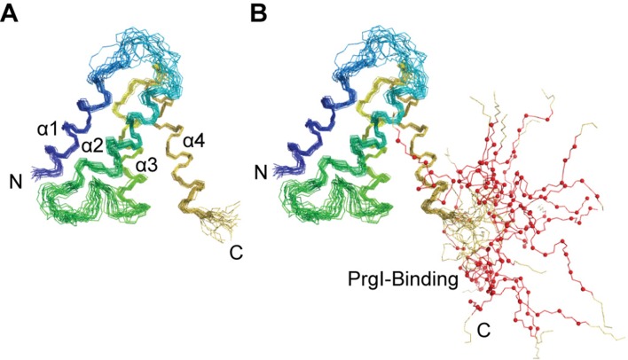 Figure 7—figure supplement 3.