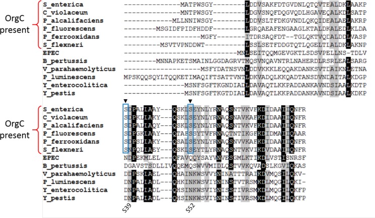 Figure 6—figure supplement 2.