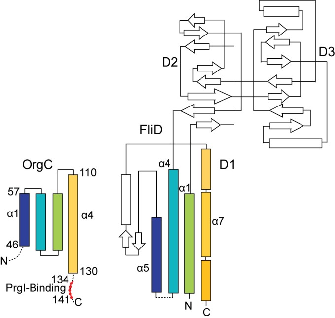 Figure 7—figure supplement 4.