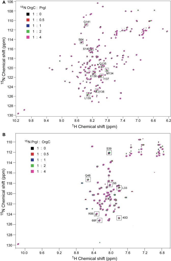 Figure 6—figure supplement 1.