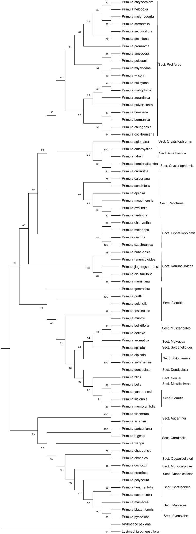 Figure 5