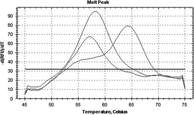 FIG 1