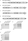 FIG 1