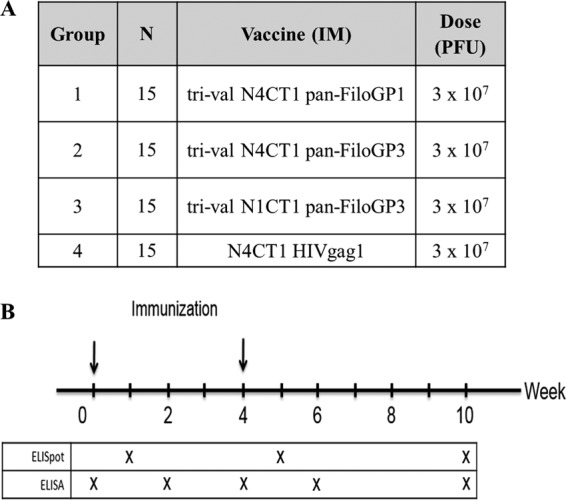 FIG 2