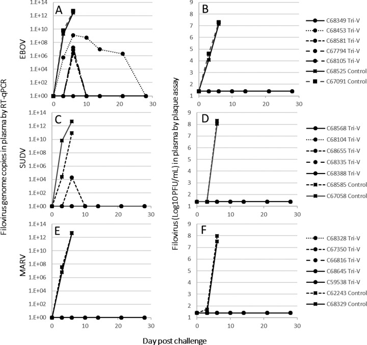 FIG 10