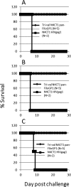 FIG 9