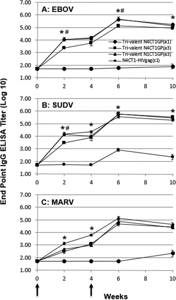 FIG 3