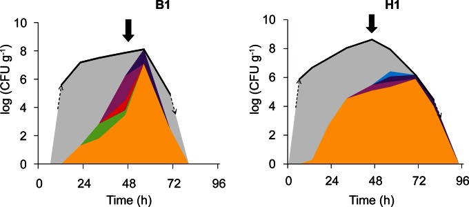 FIG 1