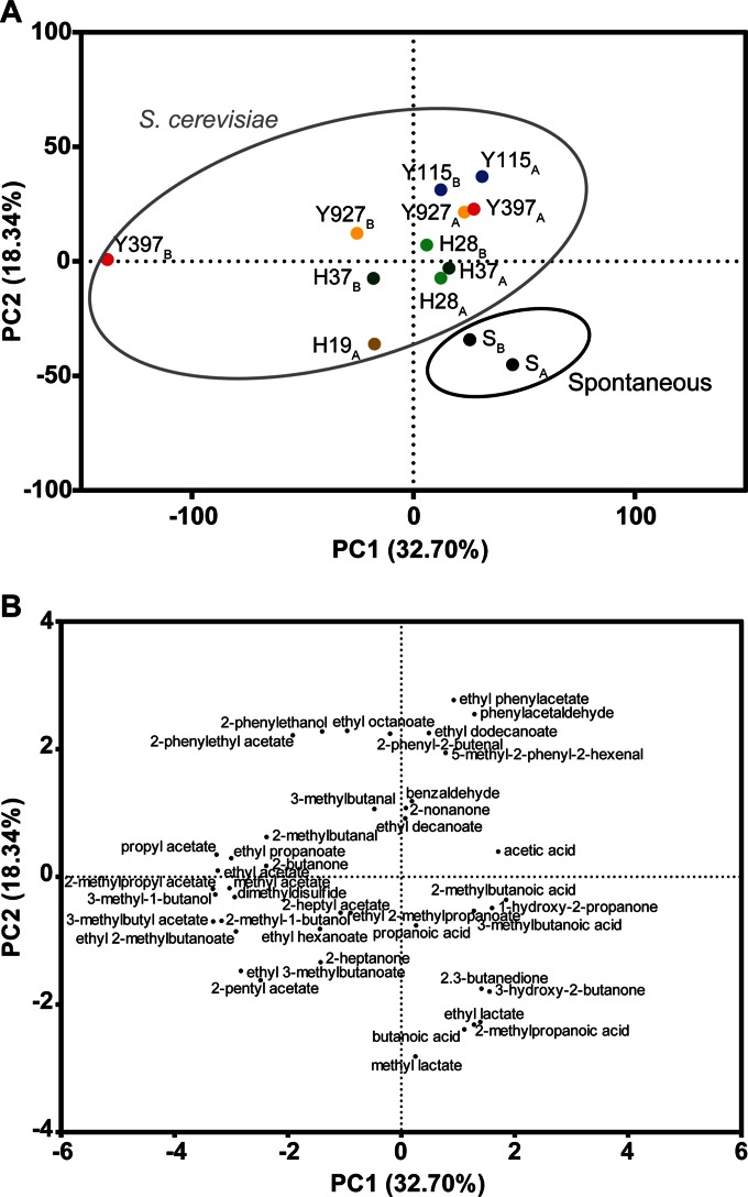 FIG 6