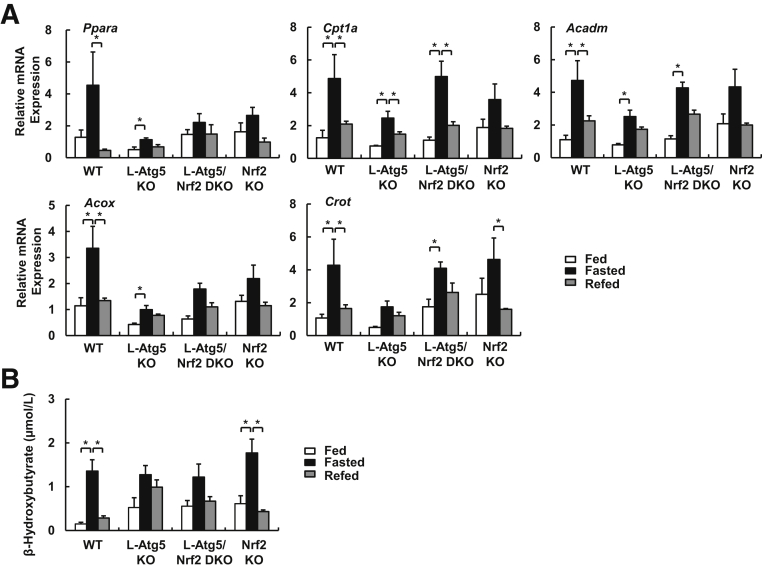 Figure 4