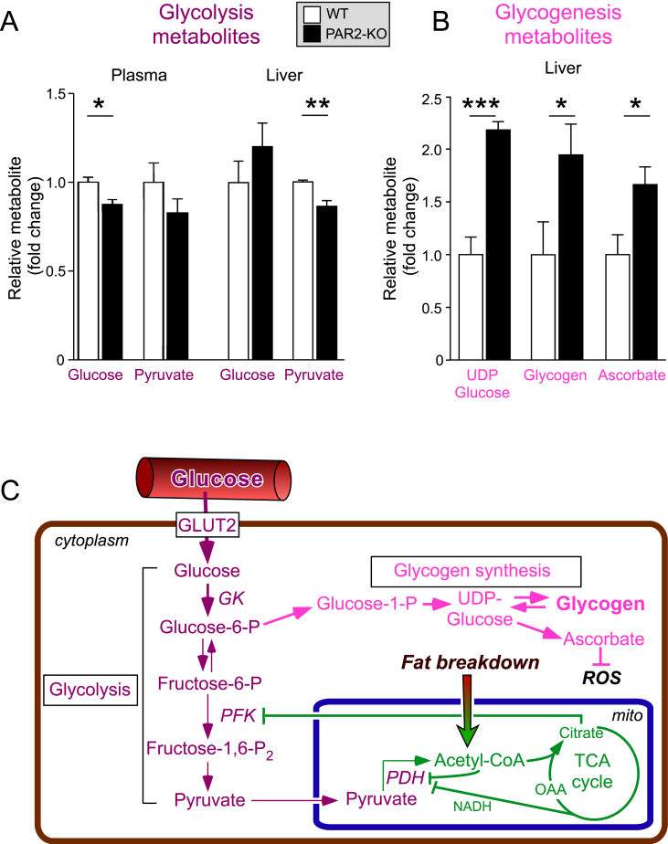 Figure 5